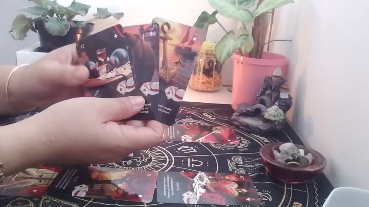 O que o universo  aconselha  para minha cura emocional  ?