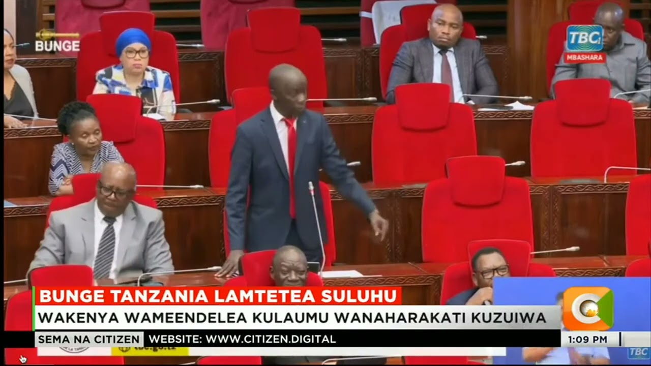 Wabunge wa Tanzania wamtetea Rais Samia Suluhu huku wakisema wanaharakati wa Kenya wakosa nidhamu