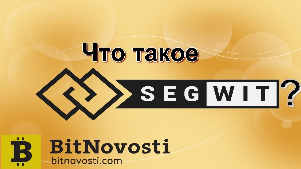 Что такое СегВит и как он работает