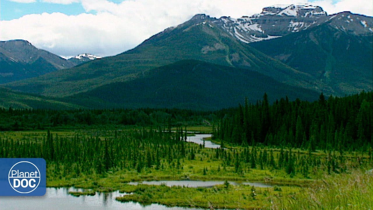 Parque Nacional Yellowstone - Parte 1
