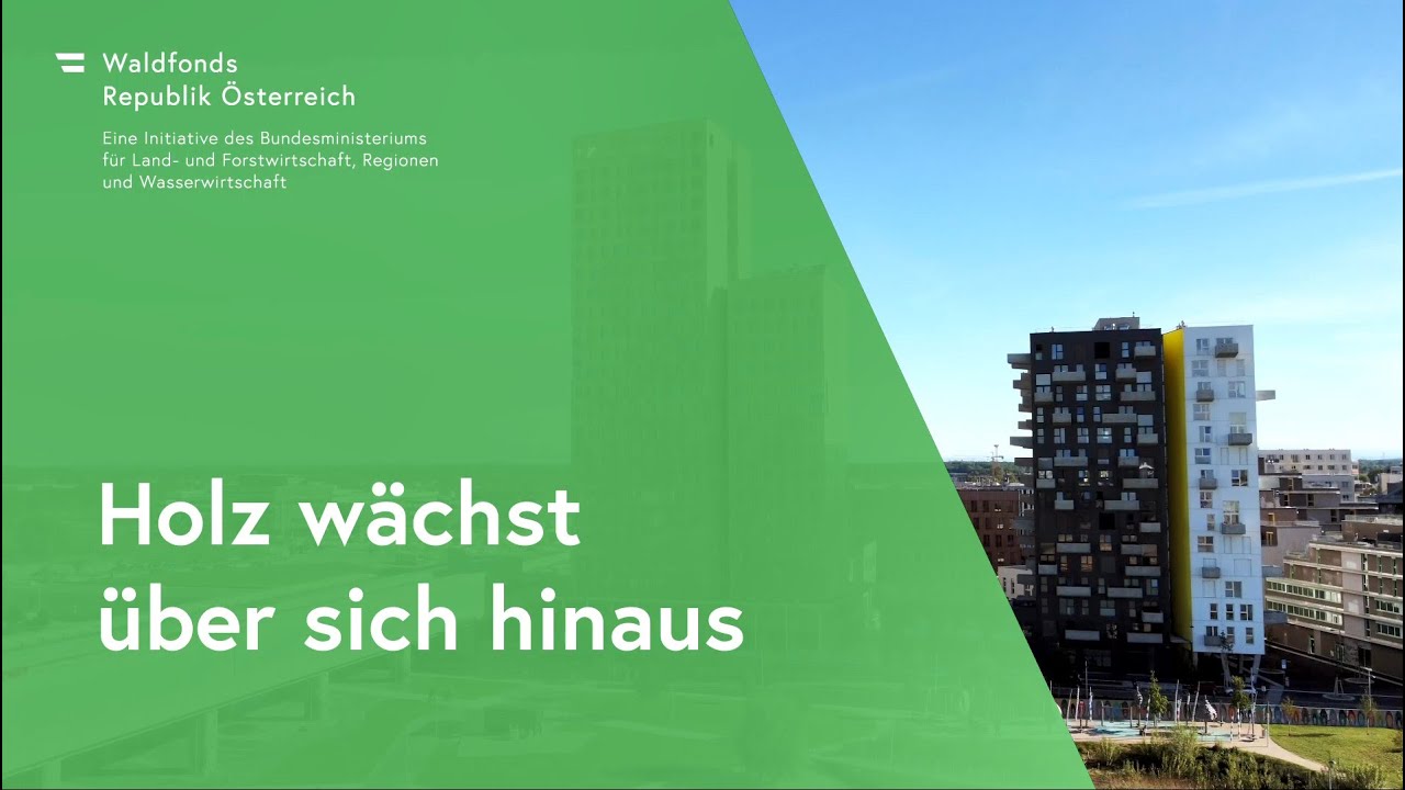 Holz wächst über sich hinaus!