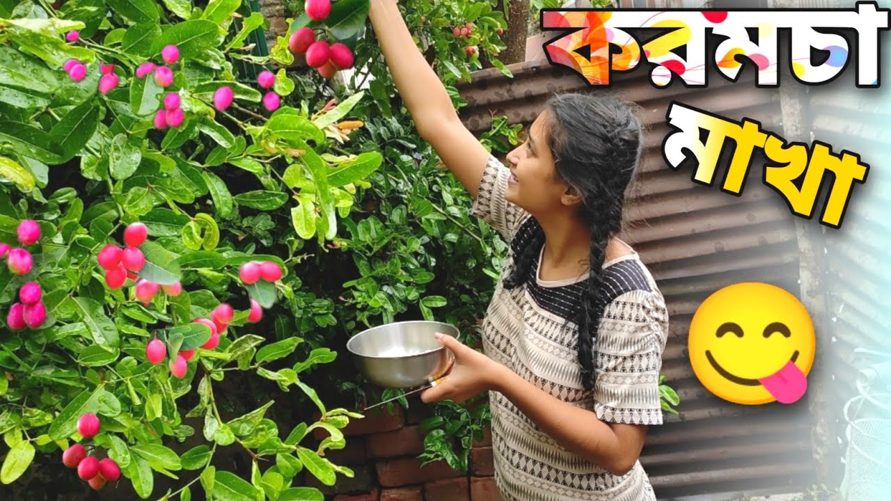 করমচা মাখালাম নিজেদের গাছের😋 কেমন হলো?Daily Vlog♥️😋