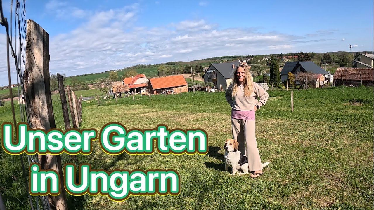 Ungarn Garten April 23 | junge Obstbäume angegangen?