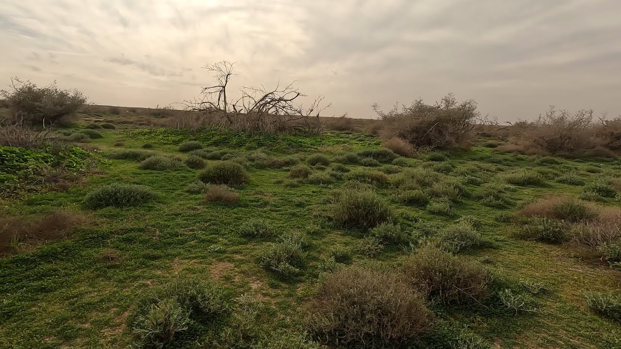 65- رحلة الصمان 2025