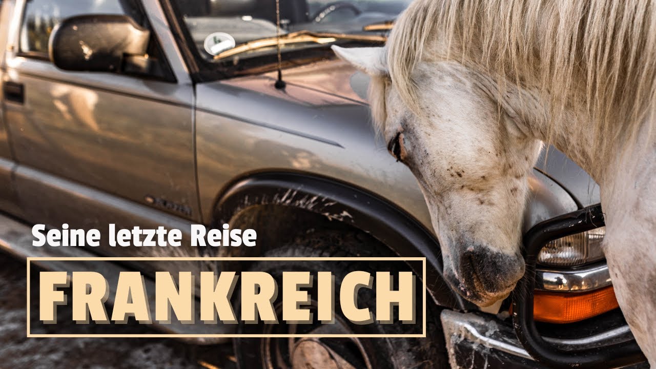 Der letzte magische Moment