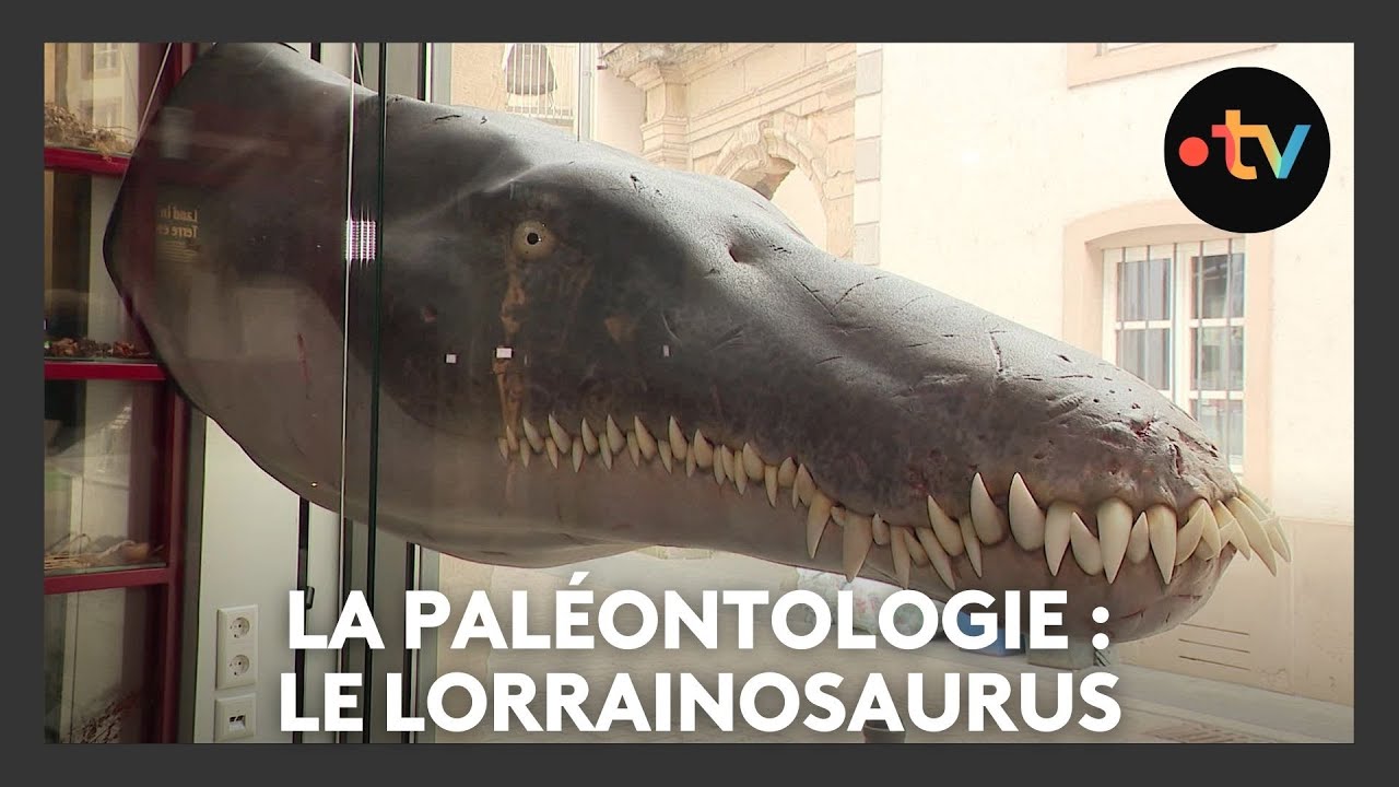 L'aventure de la paléontologie : le Lorrainosaurus