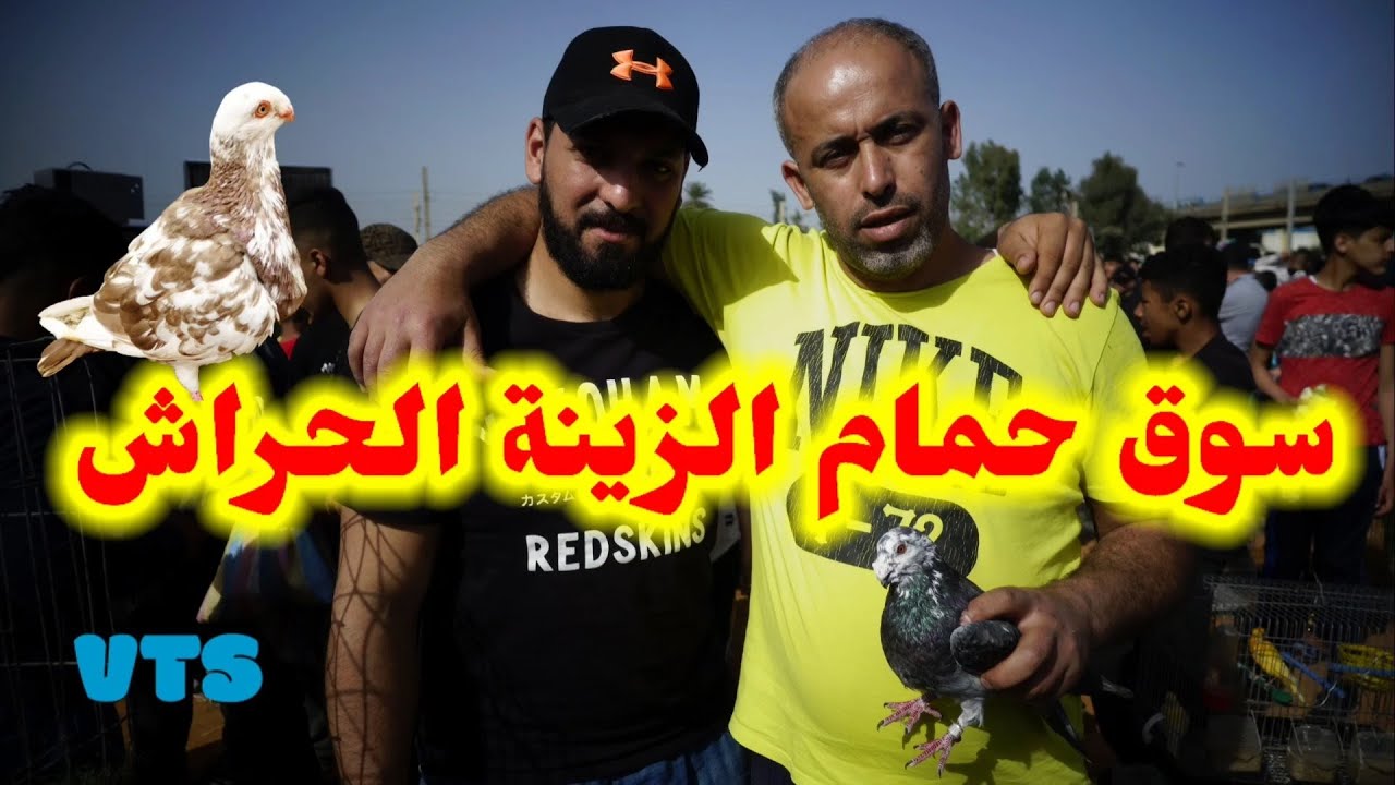 كل أنواع الحمام | مسرح و أقفاص | هواية ولا أكثر