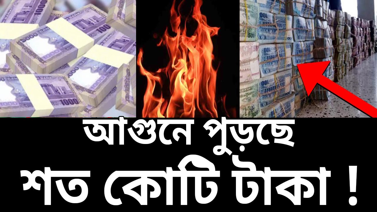 আগুনে পুড়ছে শতকোটি টাকা !  | My Search | EP 11 | Crime Investigation | Mytv