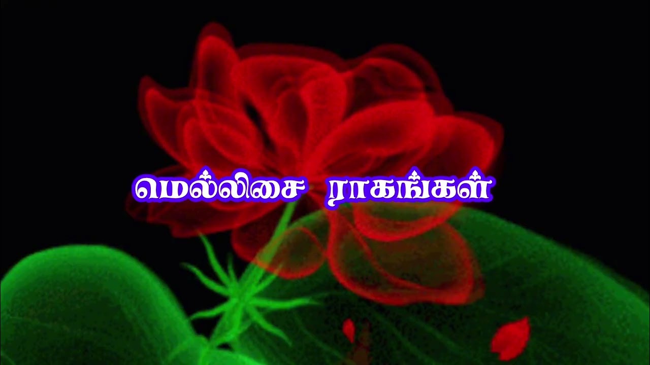 மெல்லிசை ராகங்கள் 🎶sweet melodies 💔