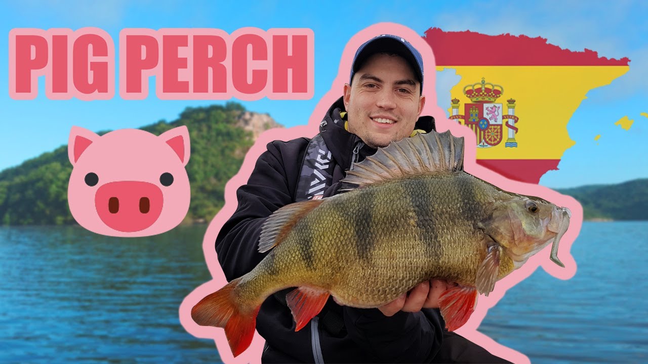REKORDN&Iacute; OKOUN / MONSTER PERCH