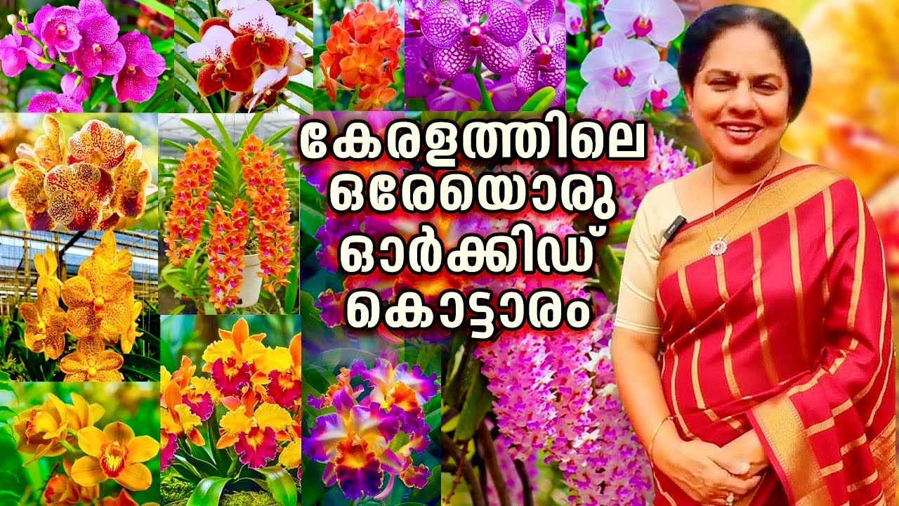ഇതിനെവല്ലാൻ വേറൊരു ഓർക്കിഡ് നഴ്സറി കേരളത്തിൽ വേറെ ഇല്ലാ..1000ത്തിൽ അധികം വെറൈറ്റികൾ|Orchidfarm