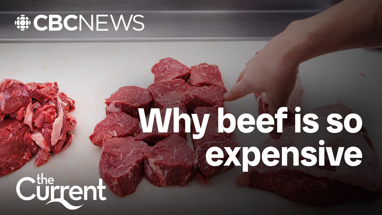 What's behind Canada's soaring beef prices? | The Current