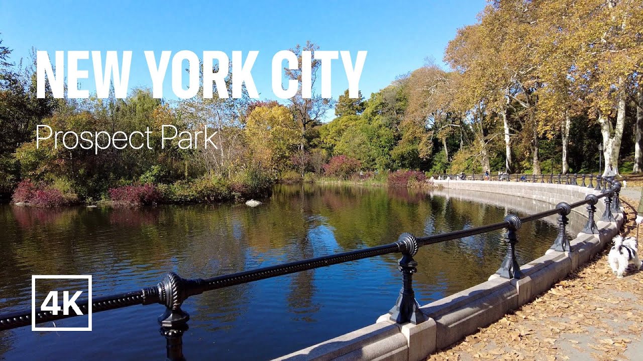 [4K] New York City 🗽 Autumn Walk - Prospect Park [Nov. 2021]