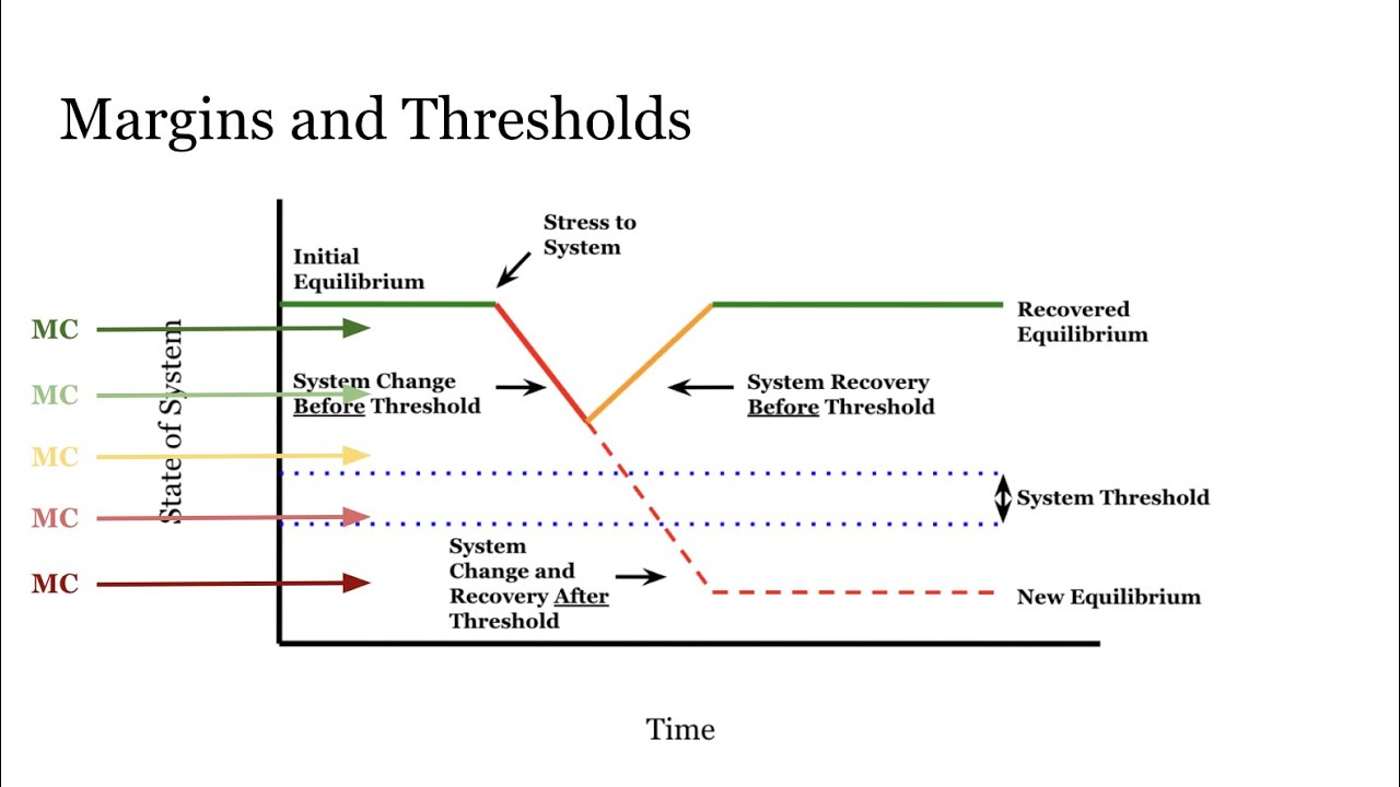 Environmental Policy: Margins