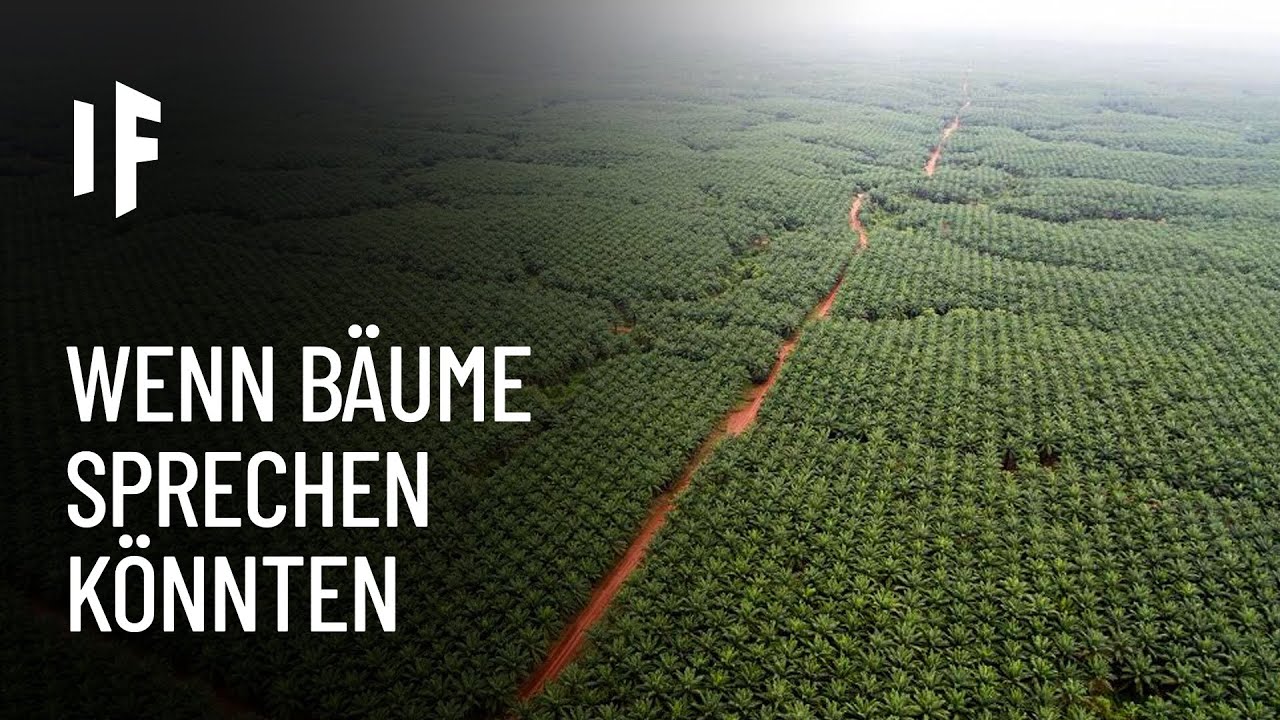Was wäre, wenn Bäume sprechen könnten?