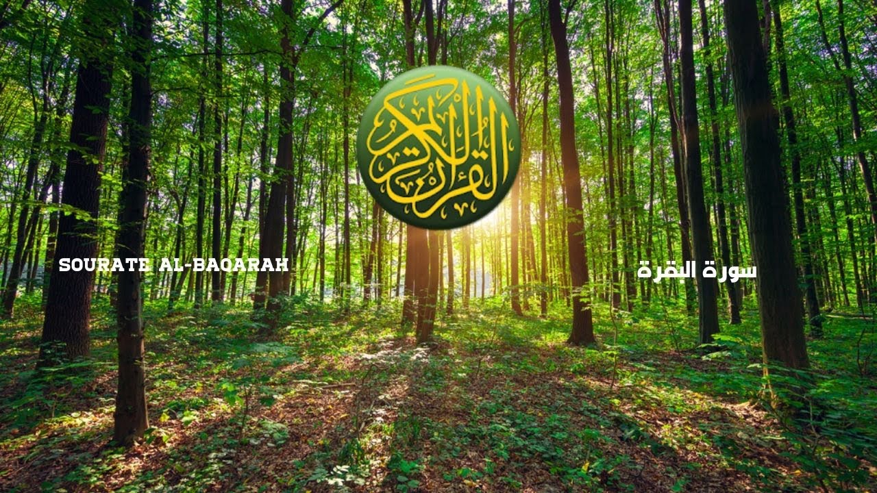 Sourate Al Baqarah (sans publicit&eacute; - بدون إعلانات) Maher Al Muaeqly - Al islem - الاسلام YT