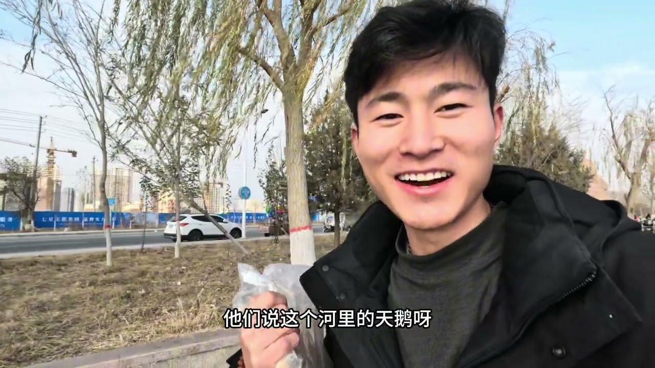 新疆的库尔勒竟然有天鹅在这里过冬拍摄天鹅，参观香梨市场