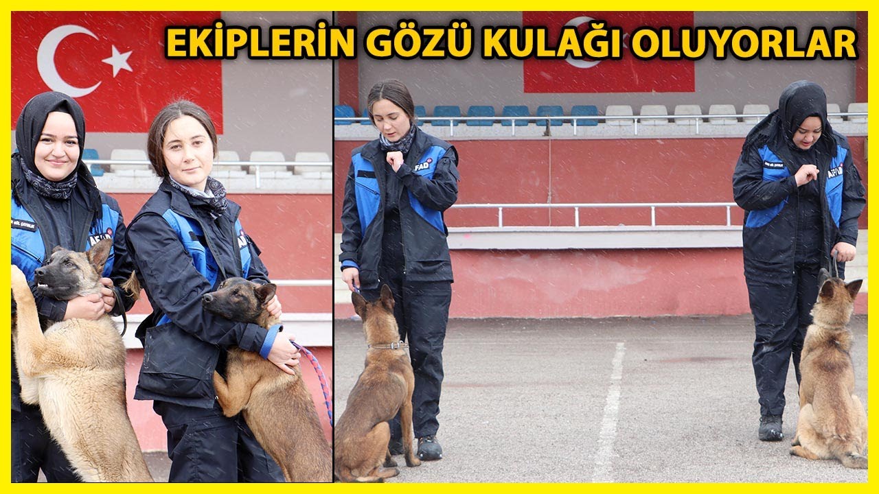AFAD'ın Çaki ve Latte'si Eğitimde