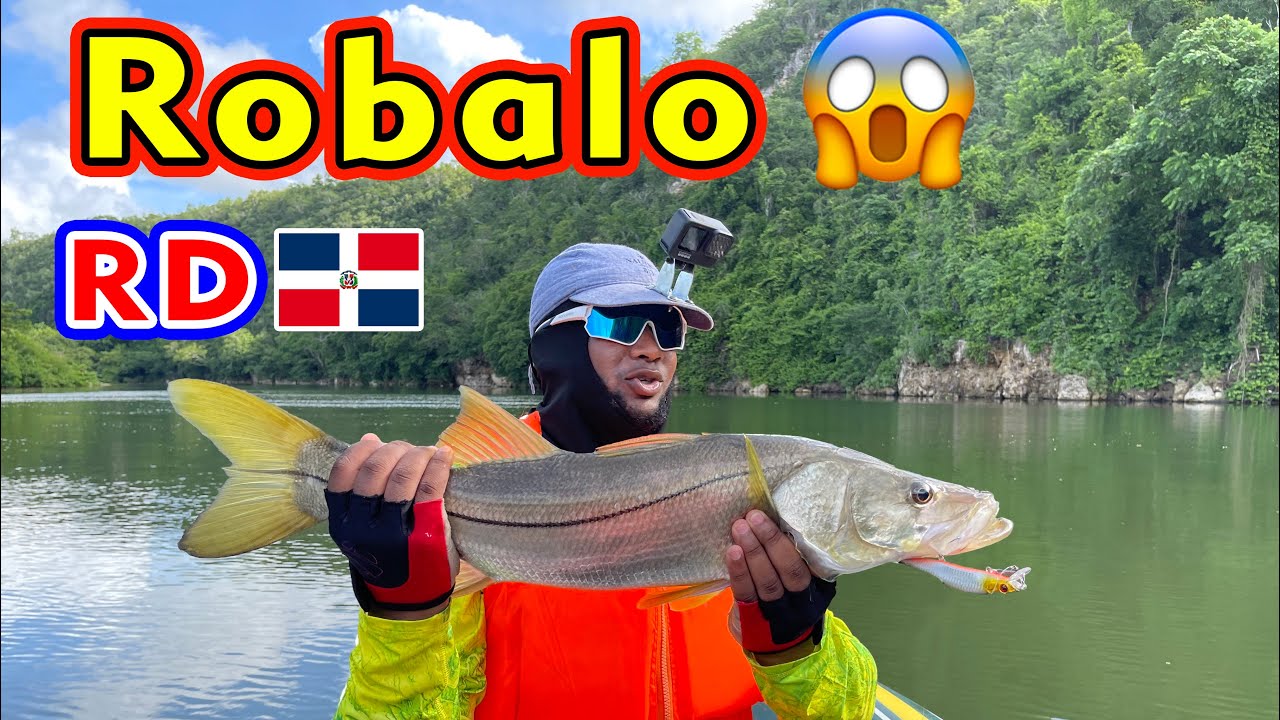 Pesca de Robalo 😱 En r&iacute;o de (🇩🇴Rep&uacute;blica Dominicana 🇩🇴) Bote Inflable 😳🎣