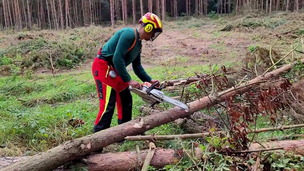 Co potrafi Stihl MS261 - w rękach zawodowca? Jak przyjemnie można nią pracować? Co to za klasa piły?
