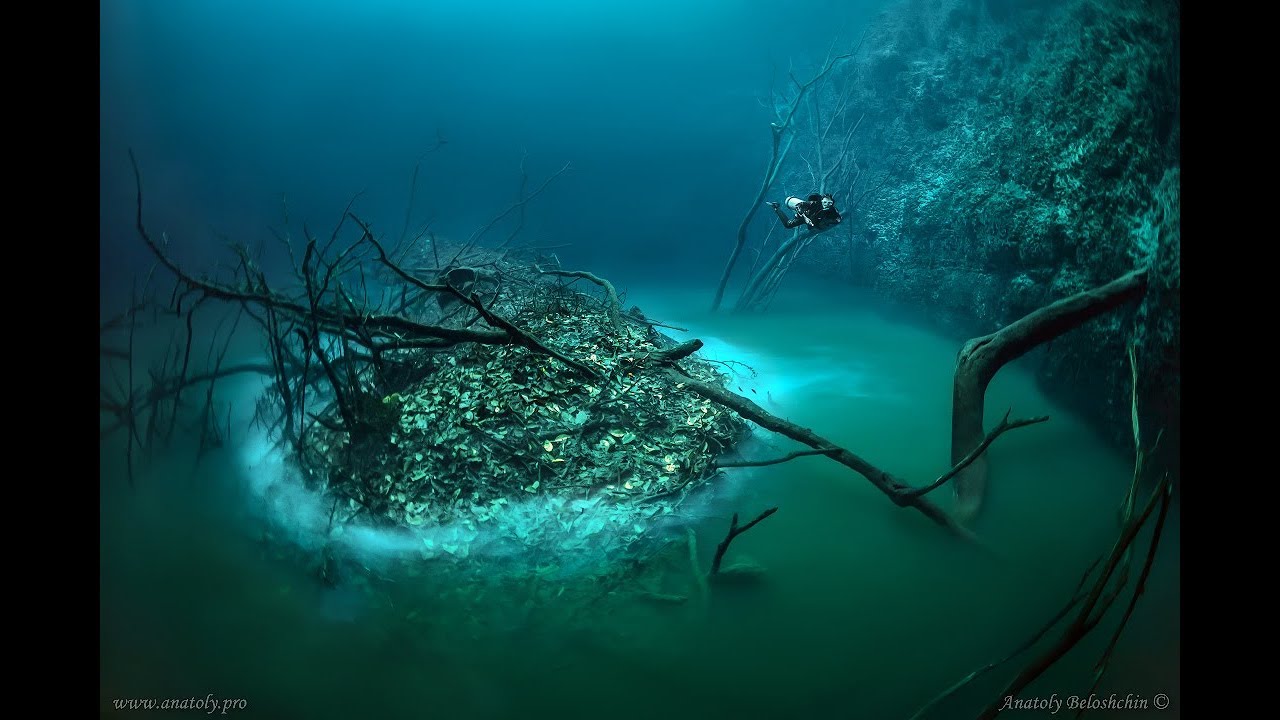 Cenote Angelita: 