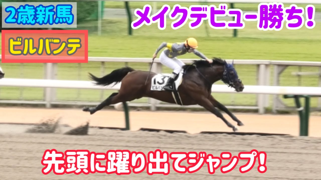 パドックで放馬しても直線でジャンプしちゃっても勝っちゃうビルバンテ