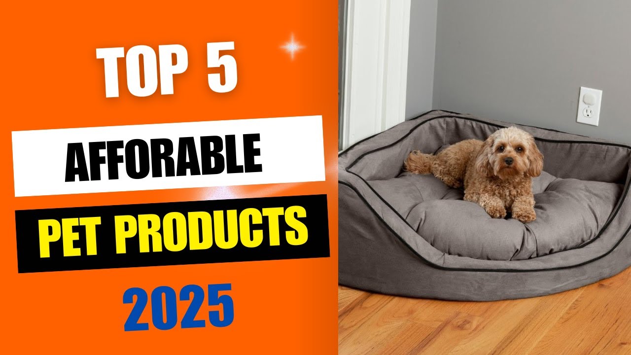Top 5 Affordable Pet Products 2025