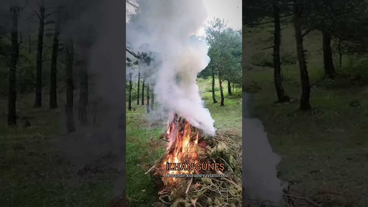 NE ZAMAN KURUDU YAYLANIN OTU )     İLHAN GÜNEŞ