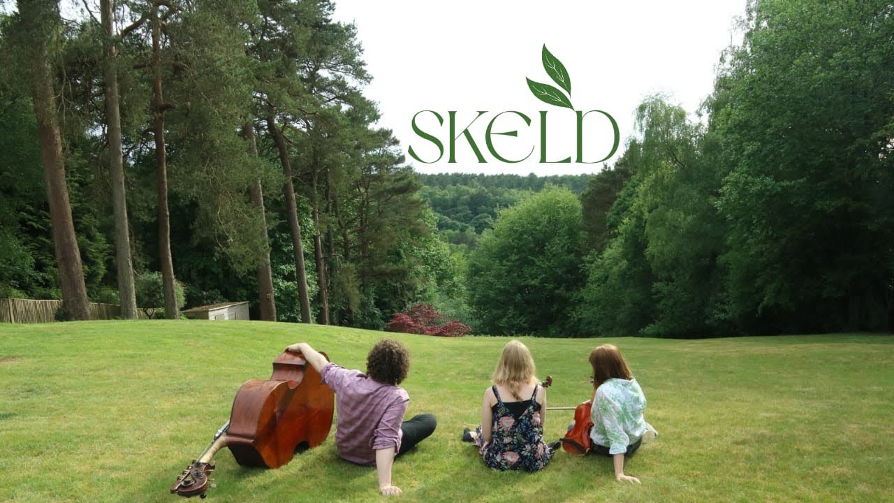 Skeld - Accidentally Funk