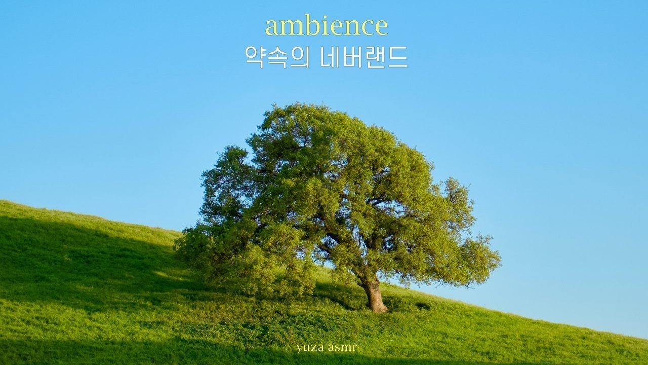ASMR 너희들을 평범하게 사랑할 수 있었으면 좋았을 걸.. 이자벨라의 자장가 | 약속의 네버랜드 asmr, 공부 엠비언스
