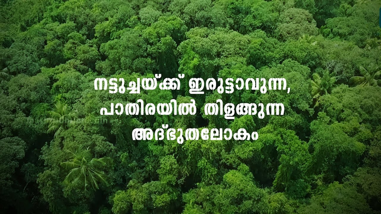 A Trip to Pathiramanal Island | Kerala Tourism | Mathrubhumi