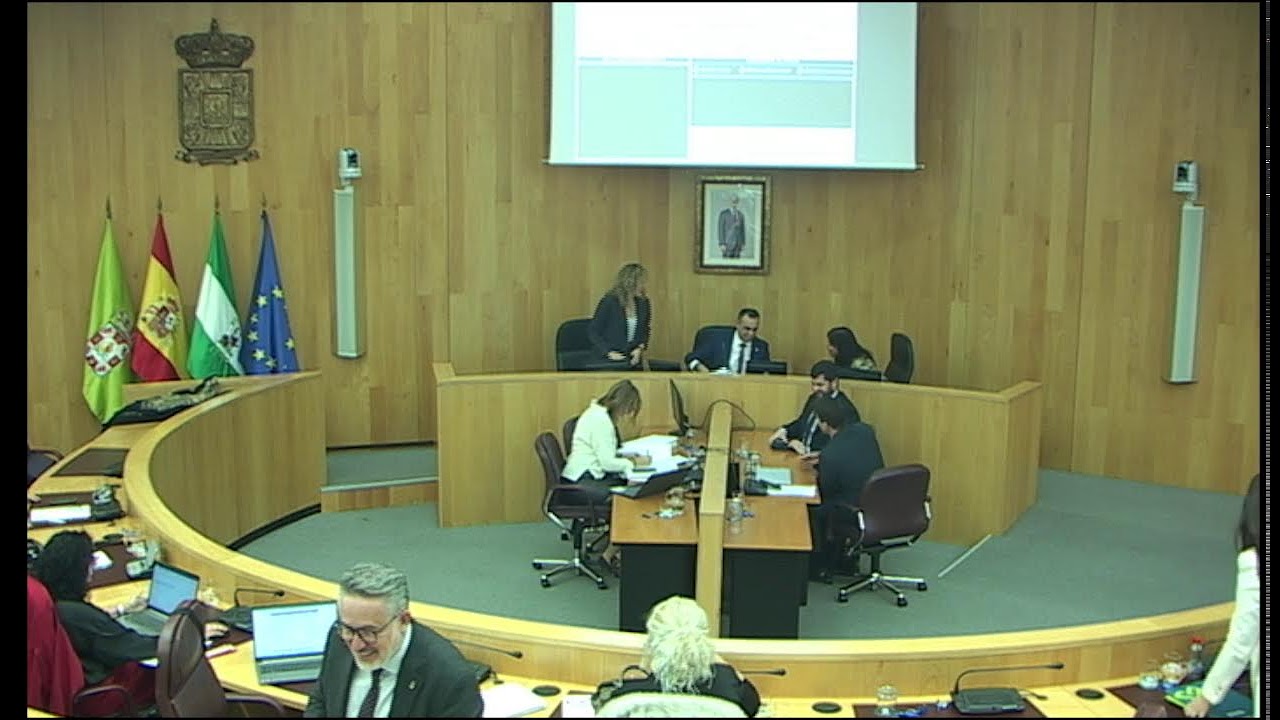Pleno Ordinario 27/11/2025