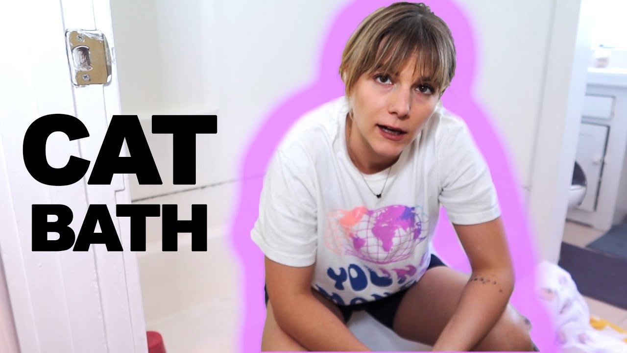 i gave my cats a bath and felt really bad about myself | Devin But Better