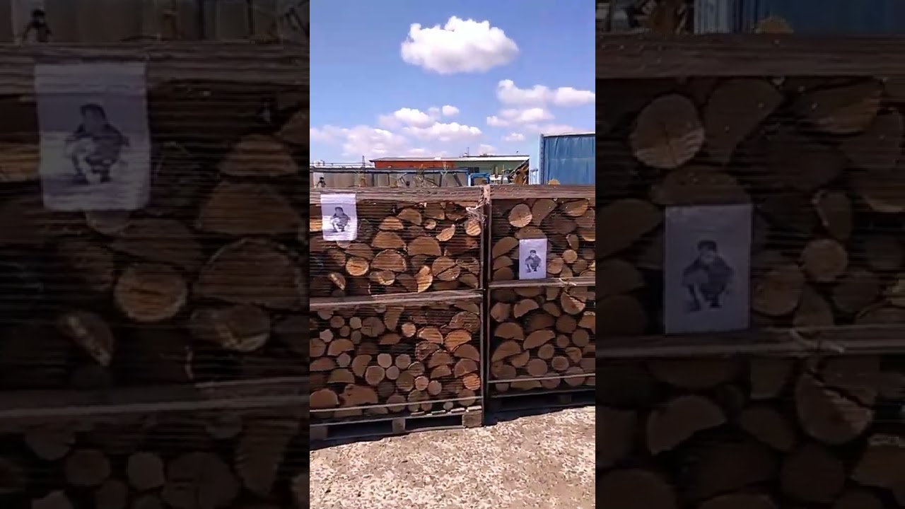 OAK Firewood Price | FIREWOOD HARDWOOD AND TIMBER SHOP | KILN DRIED FIREWOOD LOGS