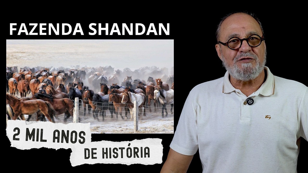 Gigantes do Campo: A Fazenda Milenar de Cavalos da China