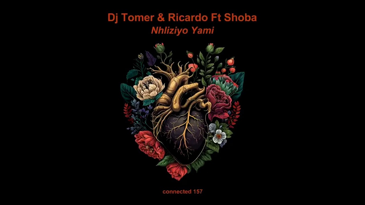 DJ Tomer, Ricardo & Shoba   - Nhliziyo Yami