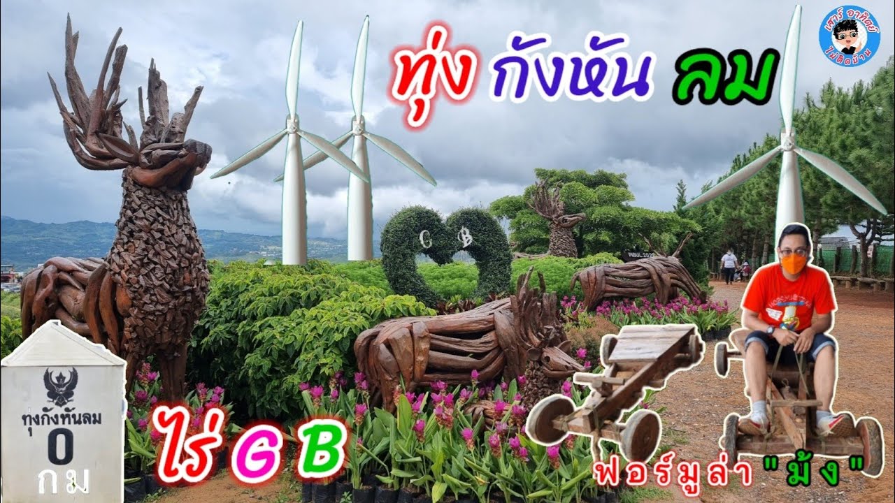 #ทุ่งกังหันลม และไปชมดอกไม้สวยๆที่#ไร่GB # เขาค้อ EP.3