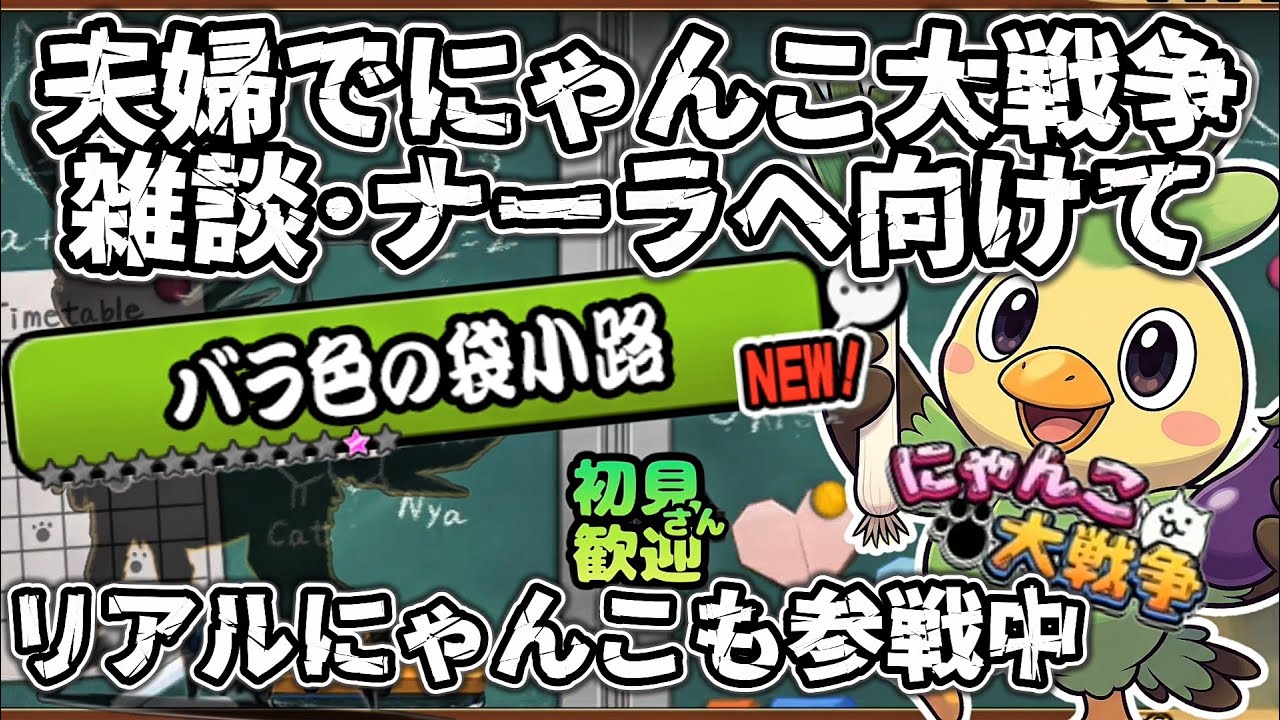 ネス垢ゆっくり真レジェ🦄【初見さん大歓迎】夫婦実況+リアルにゃんこでまったりにゃんこ大戦争・雑談🐾ライブ配信#136にゃんこ大戦争 #縦型配信 #ライブ配信 #shorts #shorts #初見