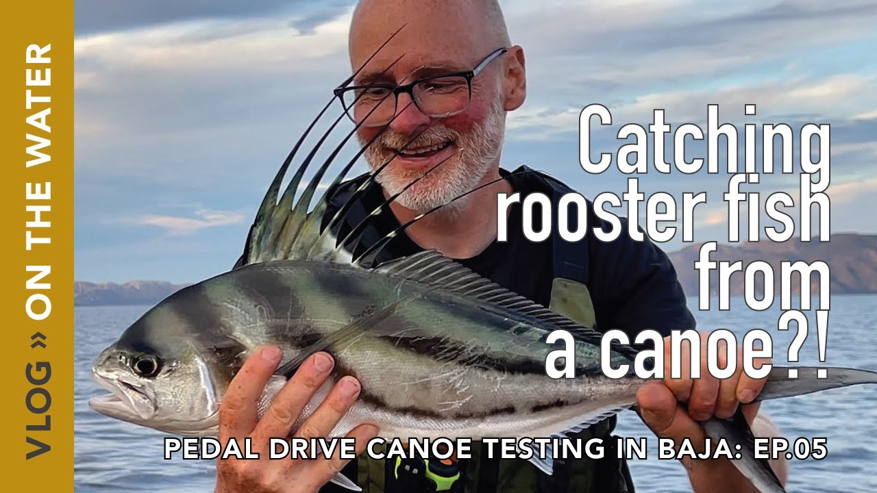 Catching Roosterfish from a Canoe?!  Testing the new Skin on Frame, Pedal Drive Outrigger in Baja.