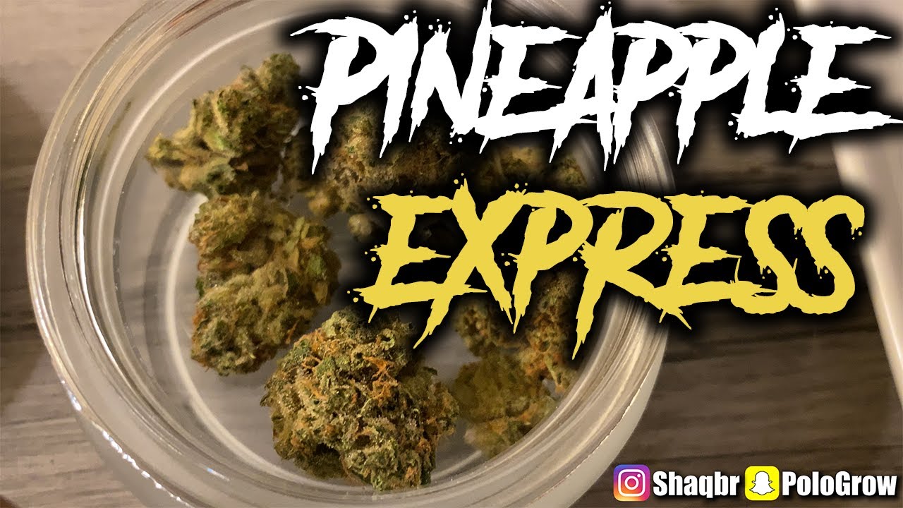 Recreational Cannabis is legal in Illinois now: Dispensary 33 Cresco Pineapple Express