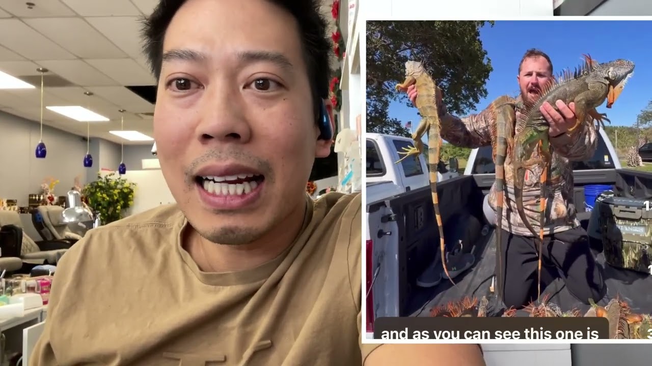 Dân Florida được lộc Trời! Thị Rồng Nam Mỹ có Ngon không