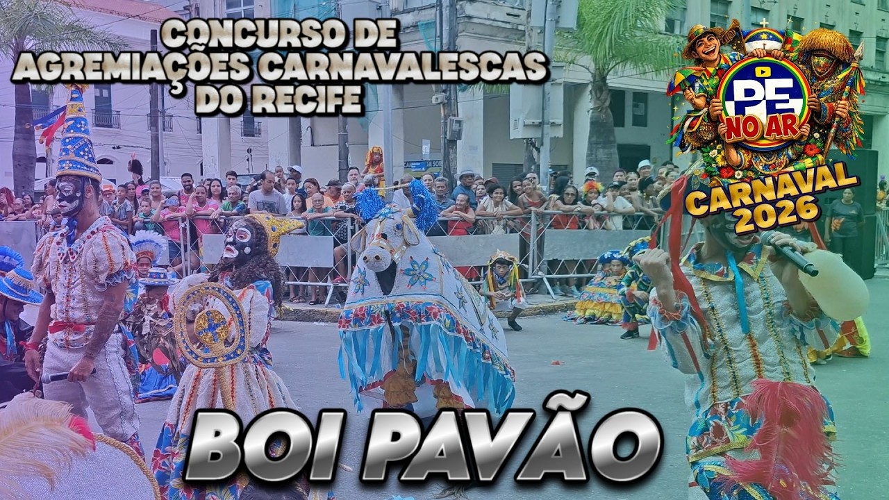 [CARNAVAL 2026] BOI PAVÃO - CONCURSO DE AGREMIAÇÕES DO RECIFE 2026 (4K)