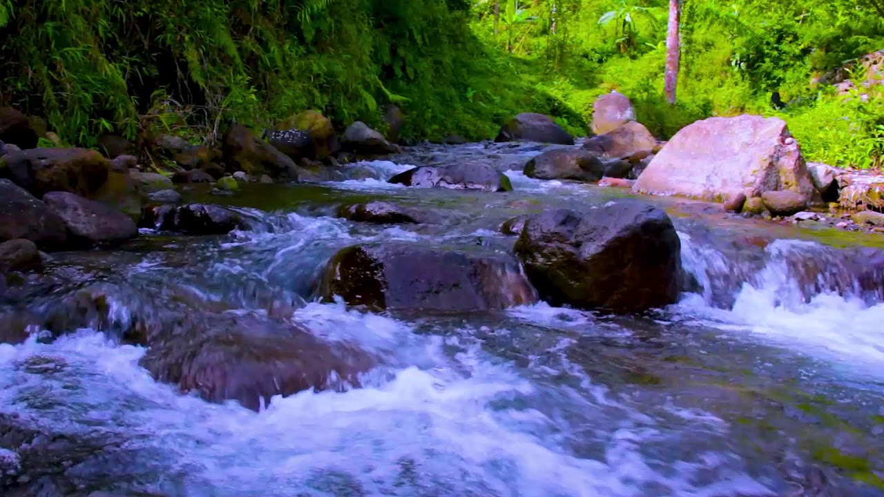 Mountain River Evening Calm | Relaxing Nature Sounds for Stress Relief