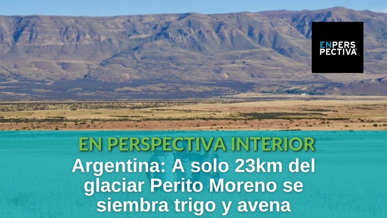 Agro Calafate: ¿Cómo se logró la cosecha de trigo y avena más austral de la Argentina?