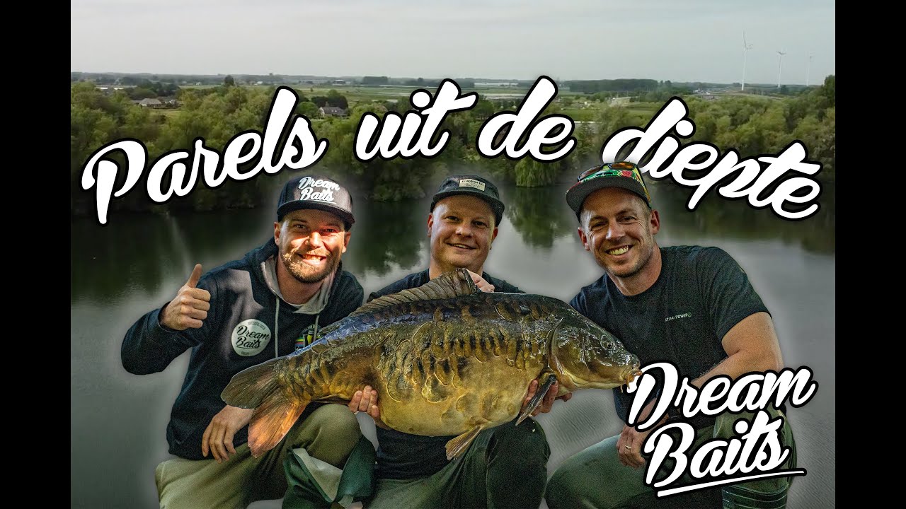 Dreambaits - Parels uit de diepte
