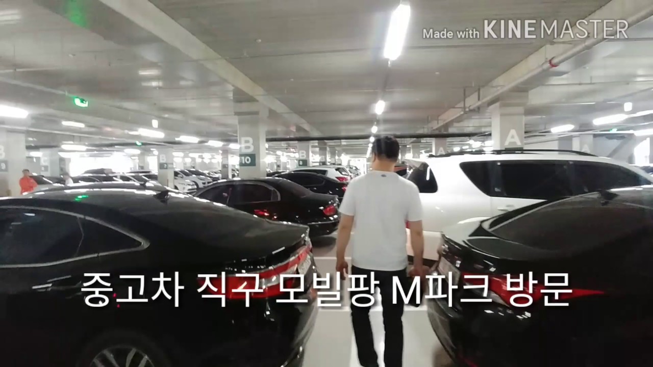 엠파크 중고차 직구 실황