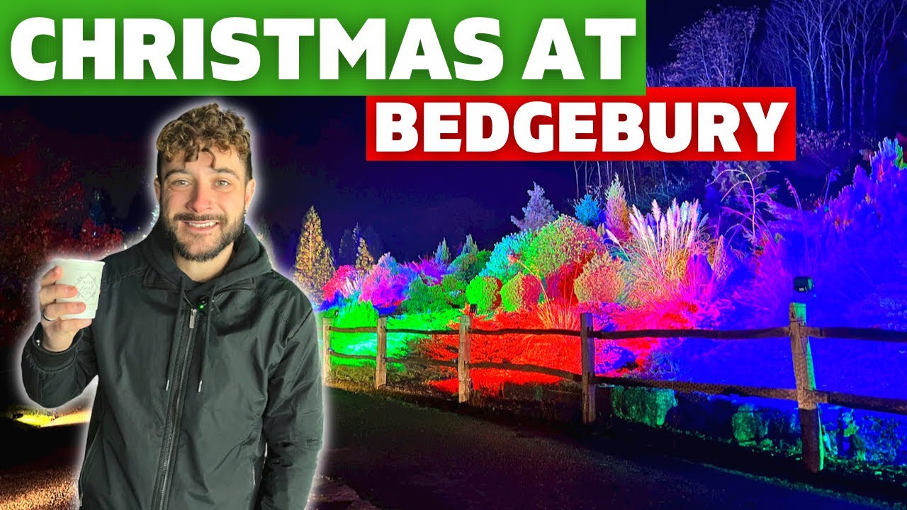 We Visit Christmas At Bedgebury - Kent's BEST Light Trail? 🎄