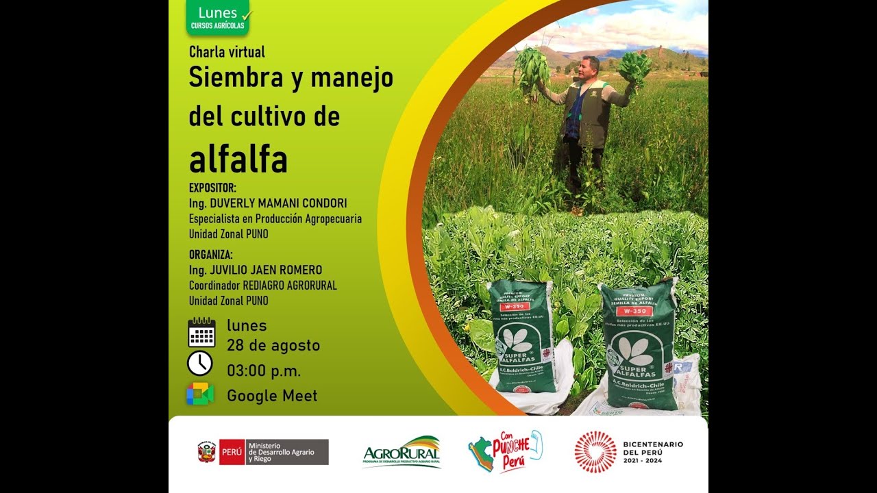 Siembra y manejo del cultivo de alfalfa 28.08.2023