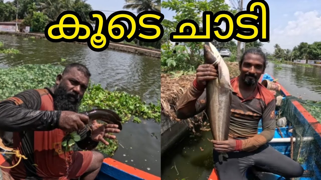 #realfishing #indiafishing #kerala #kuttanadanfishing #reallife #allfish #fishing #fish #india #