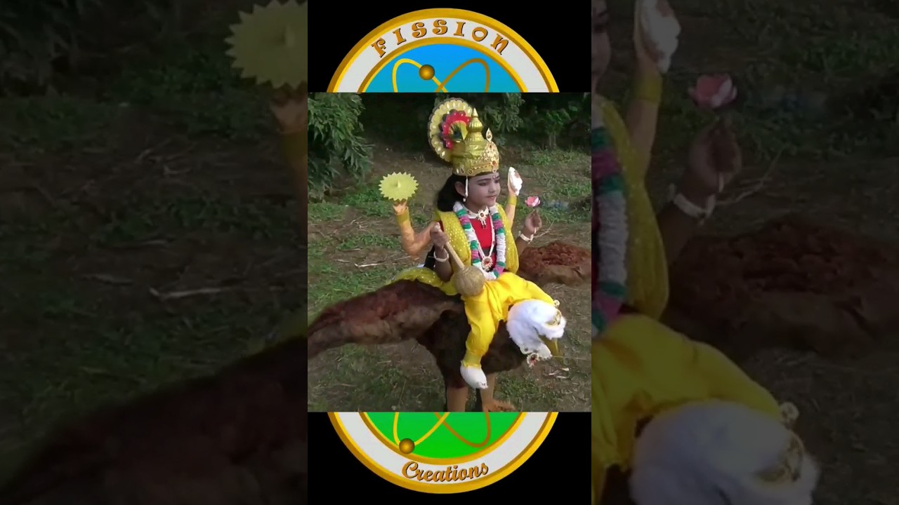 Vishnu Costume